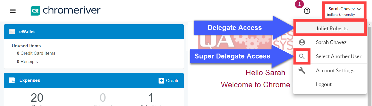 location of super delegate search and delegate expense owner selection